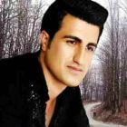 دانلود آهنگ محسن لرستانی واویلا Mp3