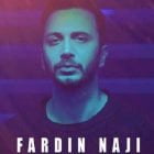 دانلود آهنگ فردین ناجی چه زود دیر میشه Mp3