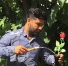 دانلود آهنگ مجید خراطها پنجره Mp3