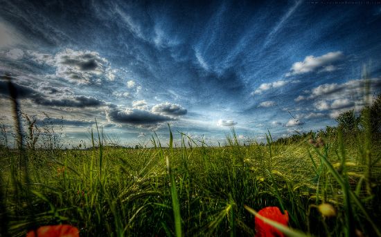 دانلود آهنگ های ترکی آصف محرم اف Asif Meherremov